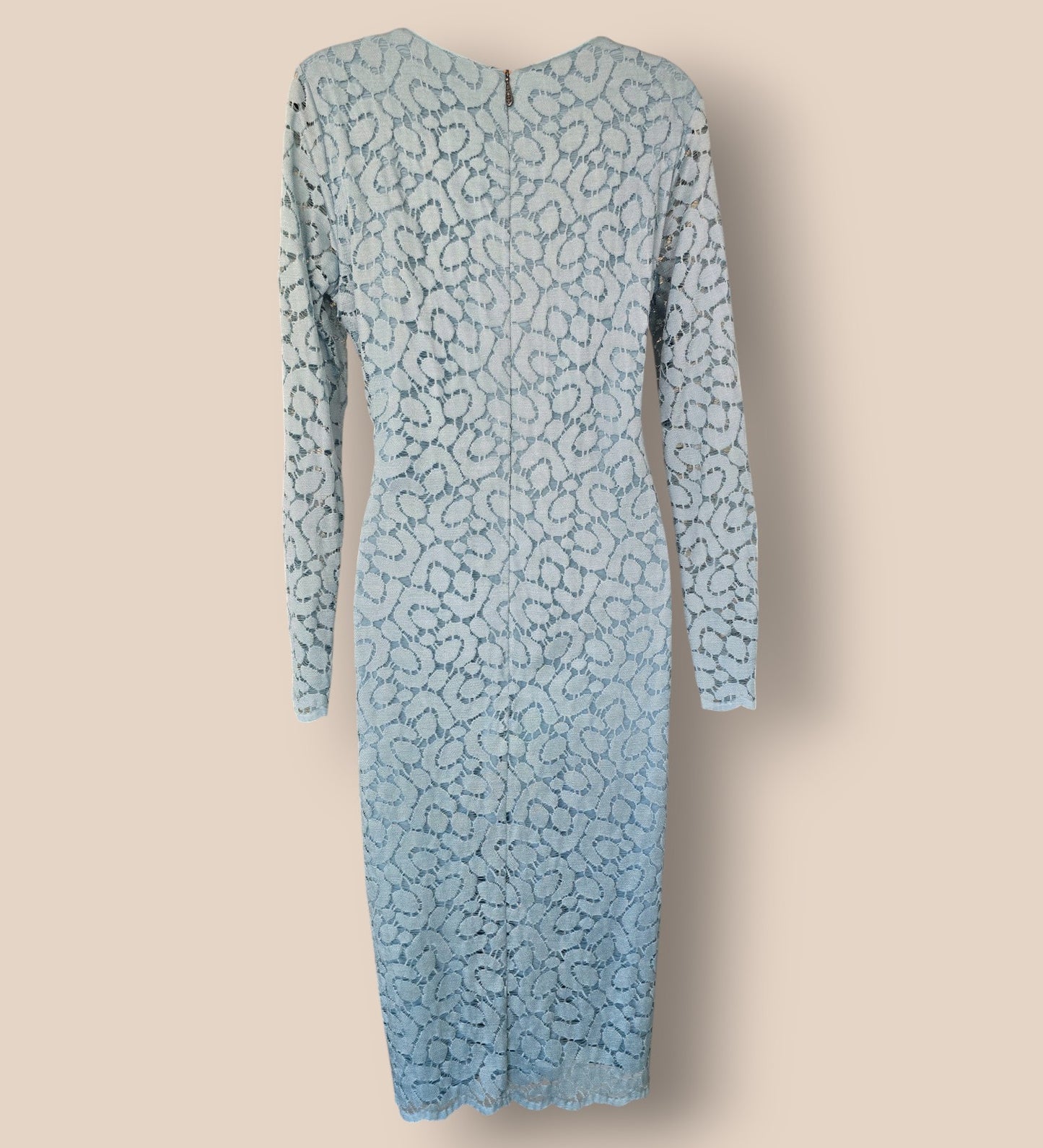 Damsel In A Dress Pale Blue Lace Effect Dress UK 14 US 10 EU 42 Timeless Fashions