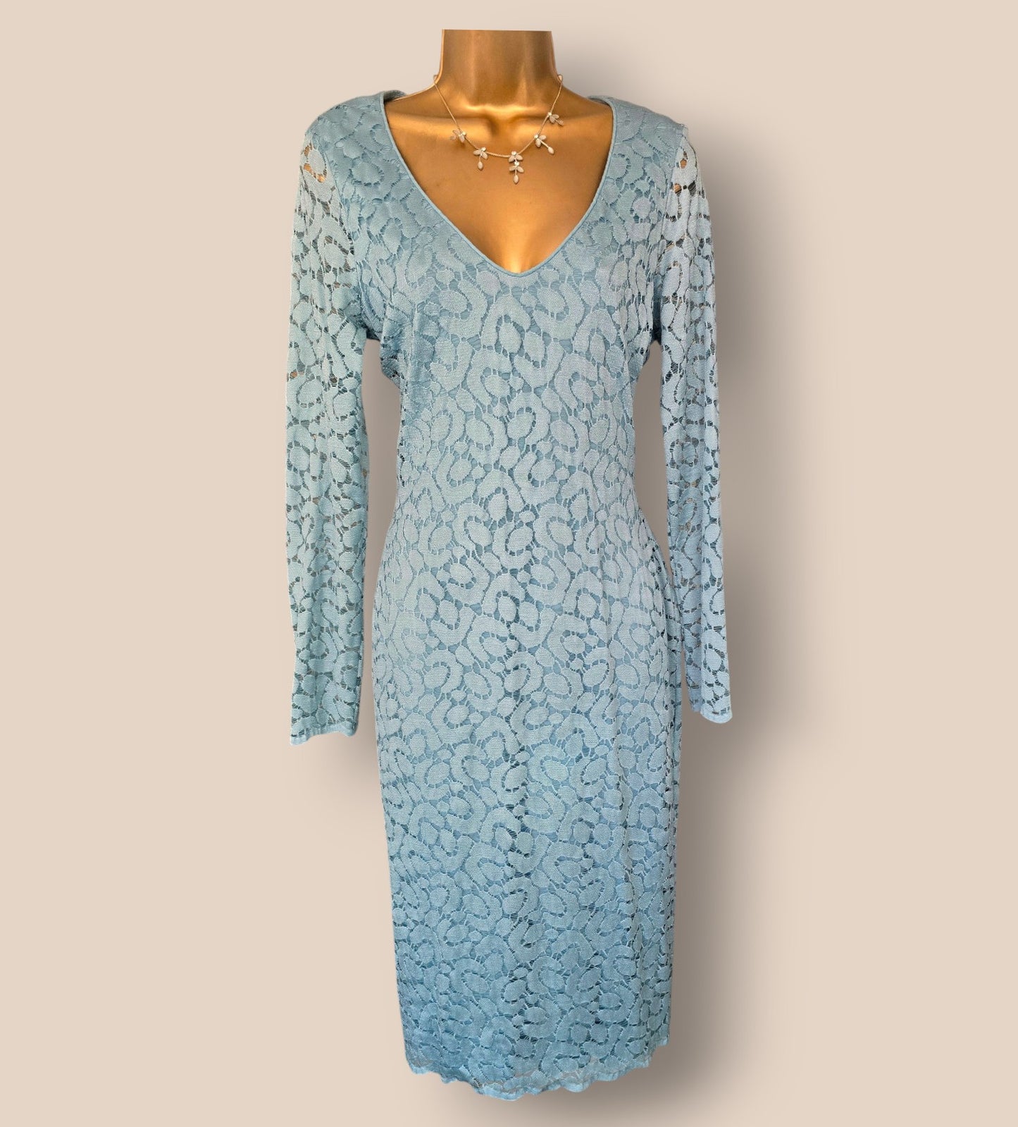 Damsel In A Dress Pale Blue Lace Effect Dress UK 14 US 10 EU 42 Timeless Fashions