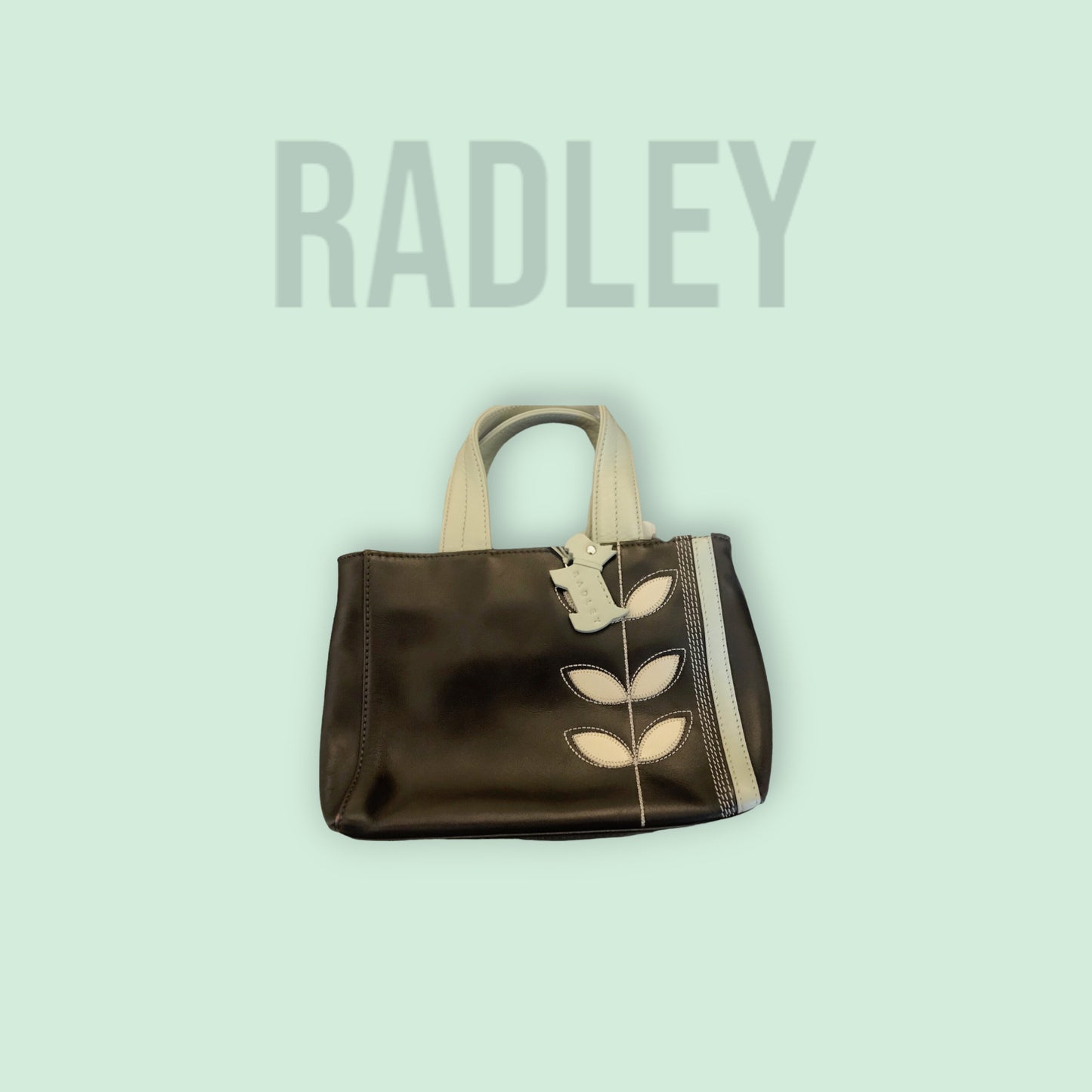 Radley Dark Brown & Duck Egg Blue Small Handbag Timeless Fashions