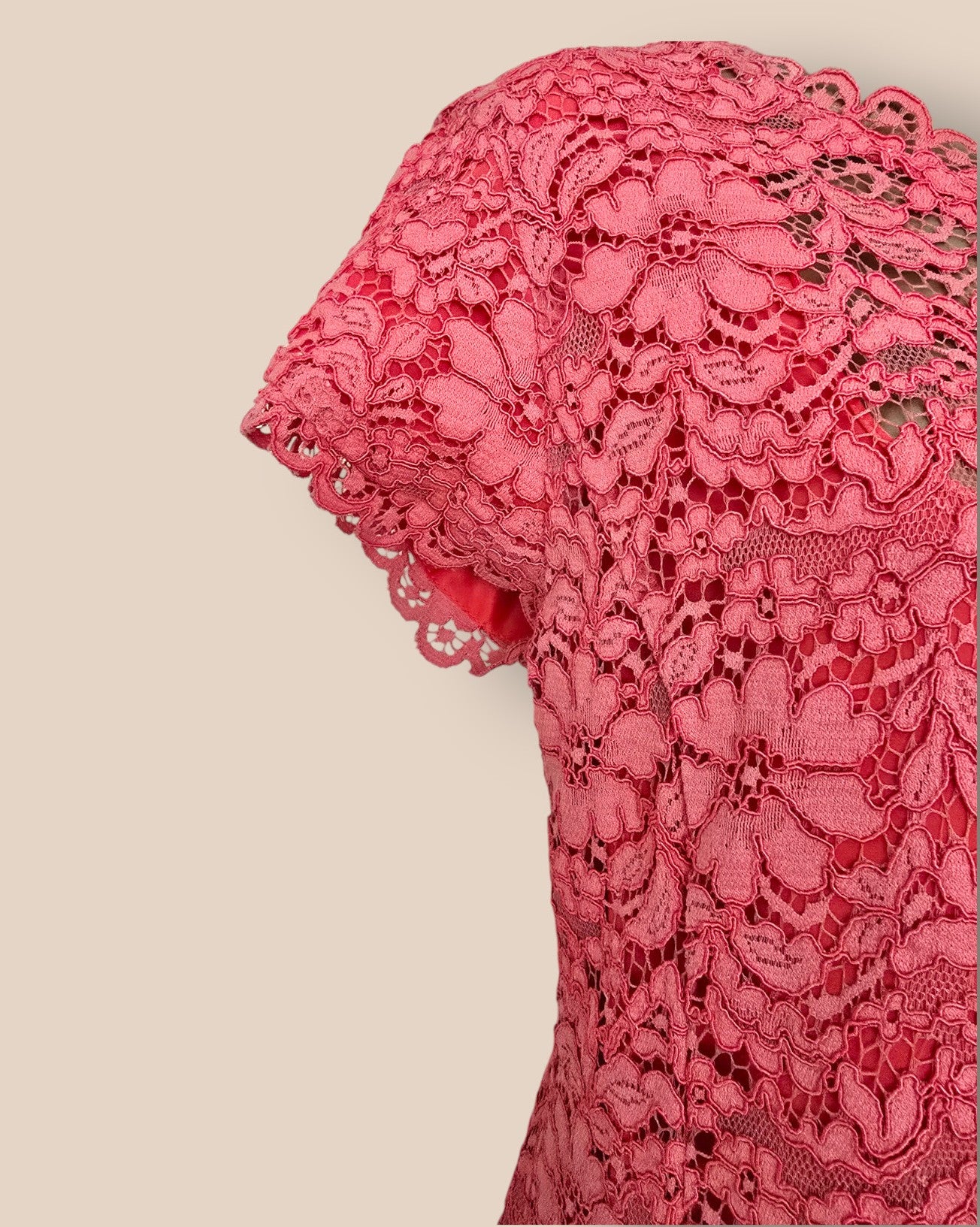 Caroline Charles Coral Lace Dress UK 14 US 10 EU 42 Timeless Fashions