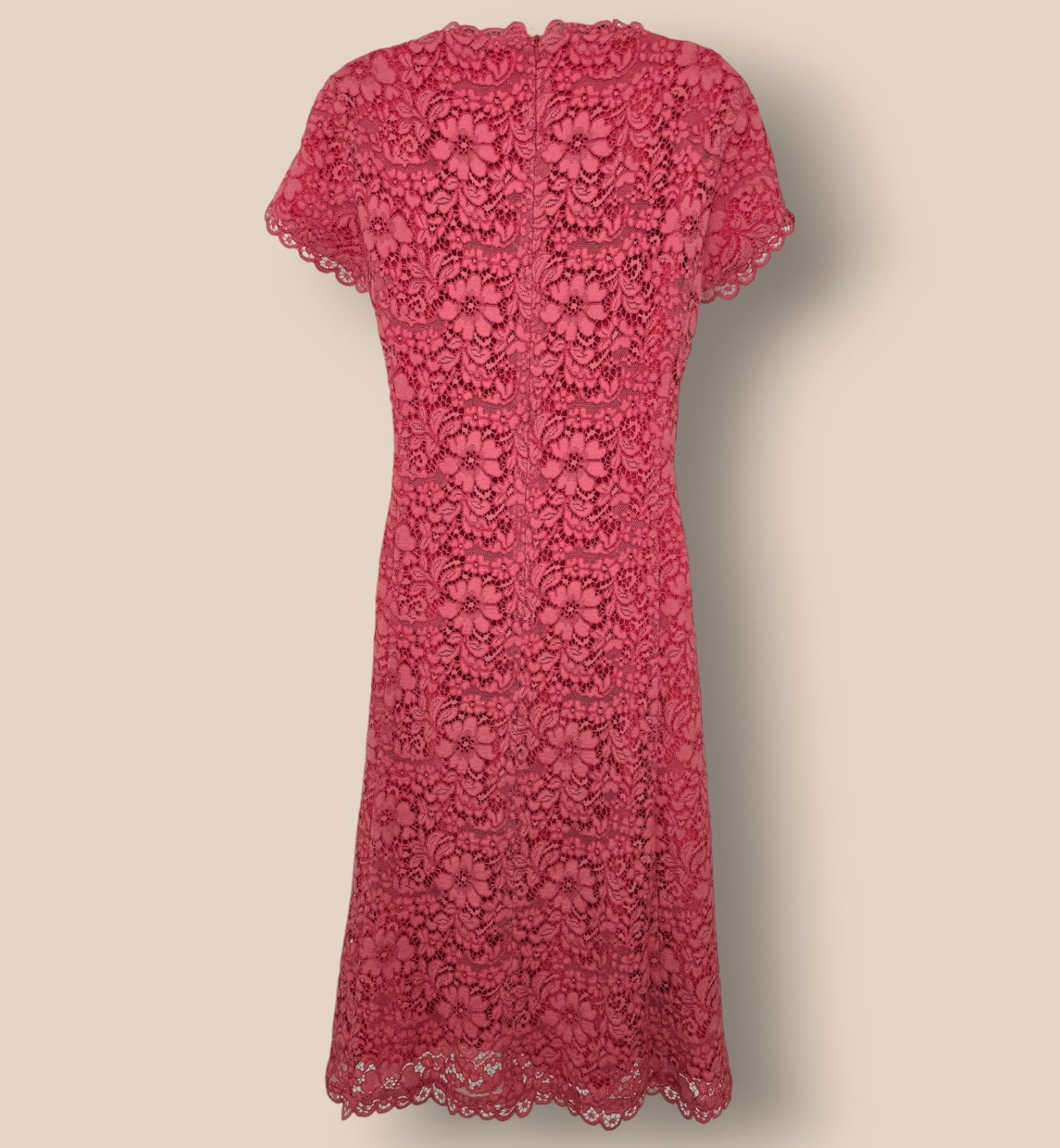 Caroline Charles Coral Lace Dress UK 14 US 10 EU 42 Timeless Fashions