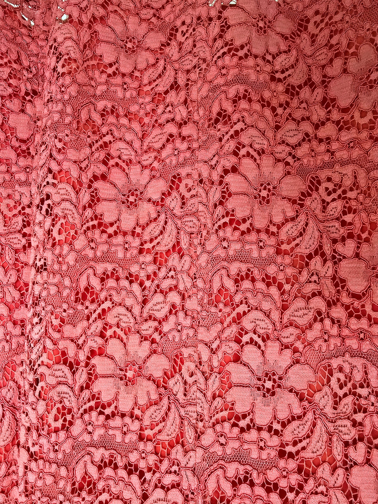 Caroline Charles Coral Lace Dress UK 14 US 10 EU 42 Timeless Fashions
