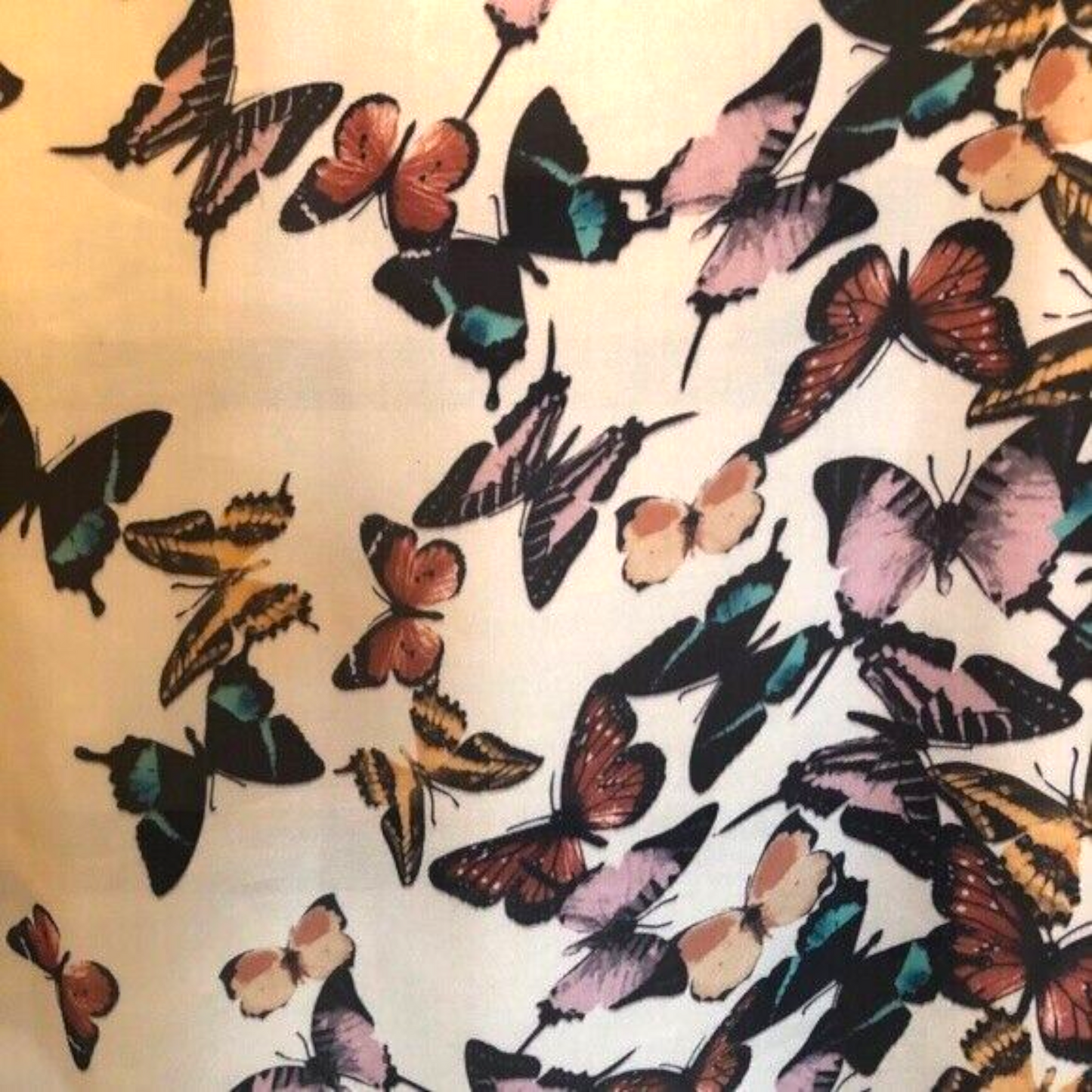 Pattern of colorful butterflies on a light background