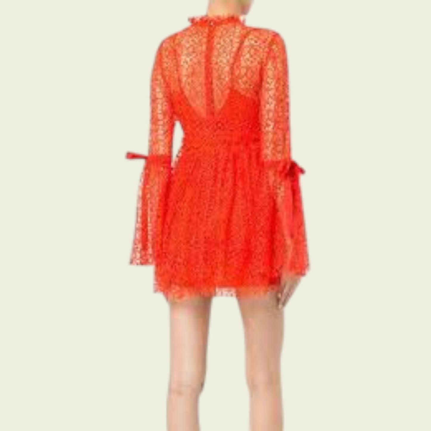 Red lace dress with long sleeves and a tie detail on a beige background