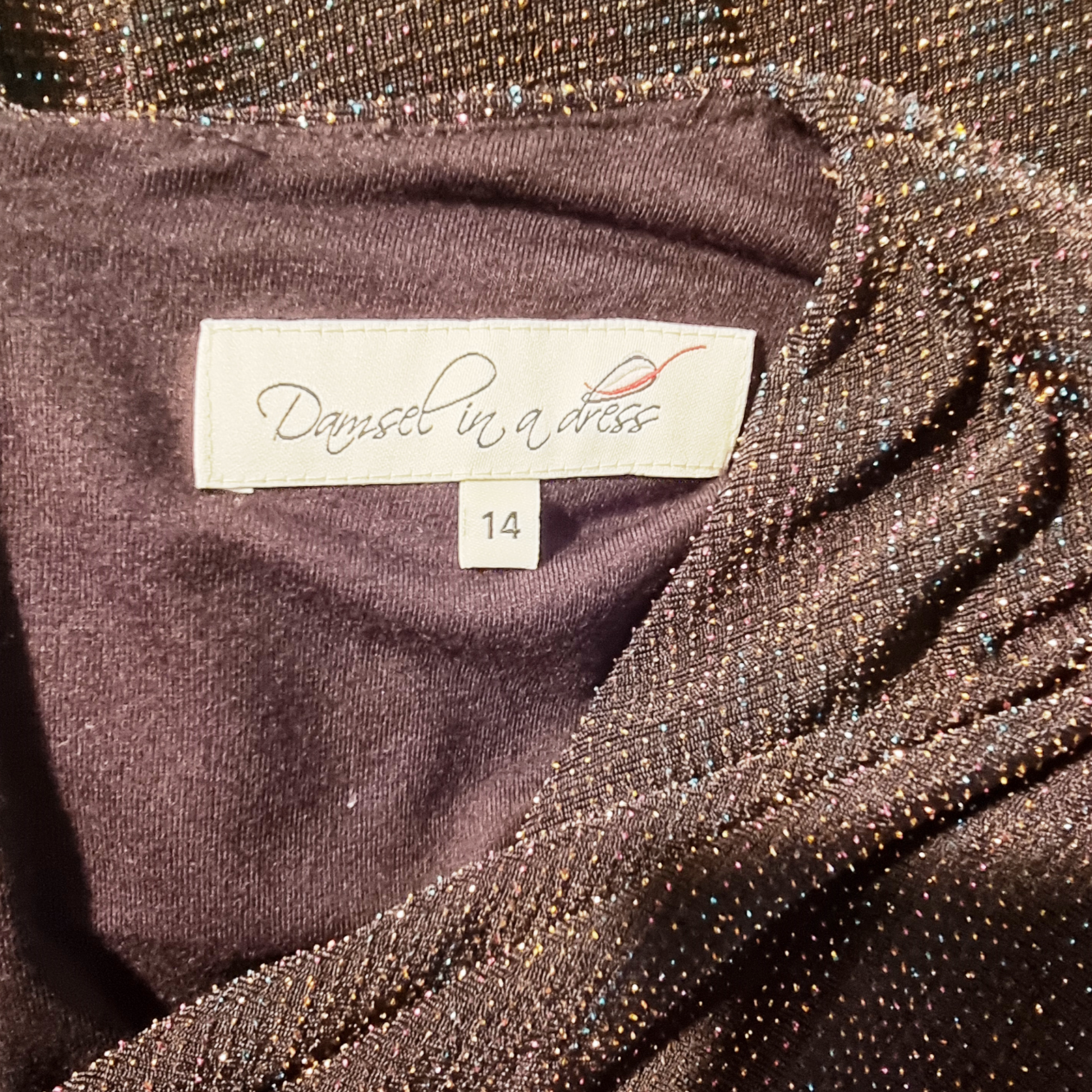 Close-up of a label on a sparkly dress with 'Damsel in a Dress' branding.