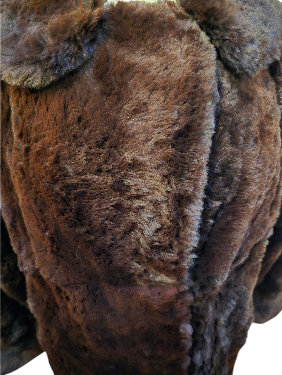 Close-up of brown fur texture on a white background