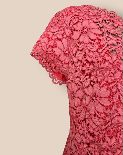 Caroline Charles Coral Lace Dress UK 14 US 10 EU 42 Timeless Fashions