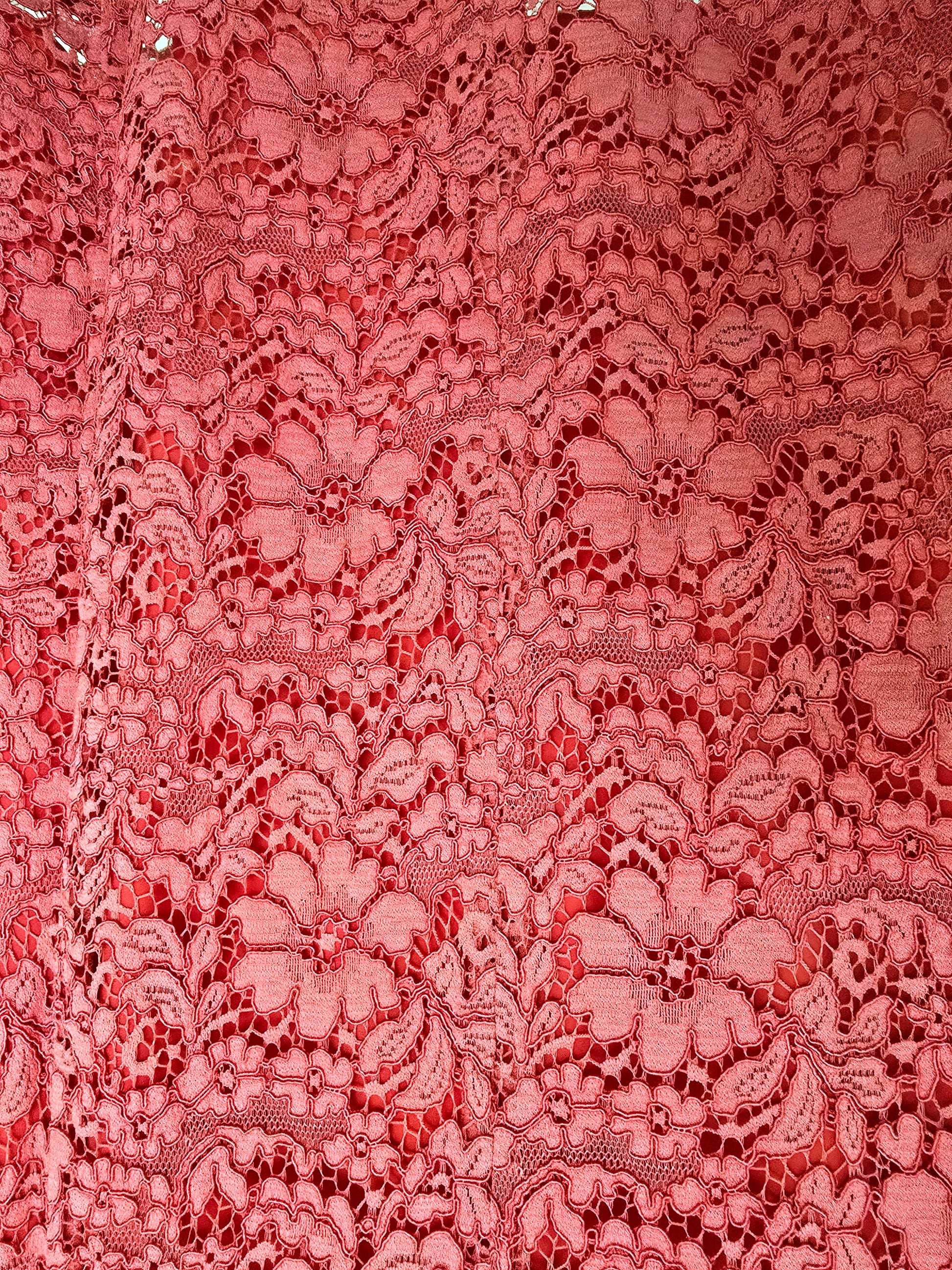 Caroline Charles Coral Lace Dress UK 14 US 10 EU 42 Timeless Fashions