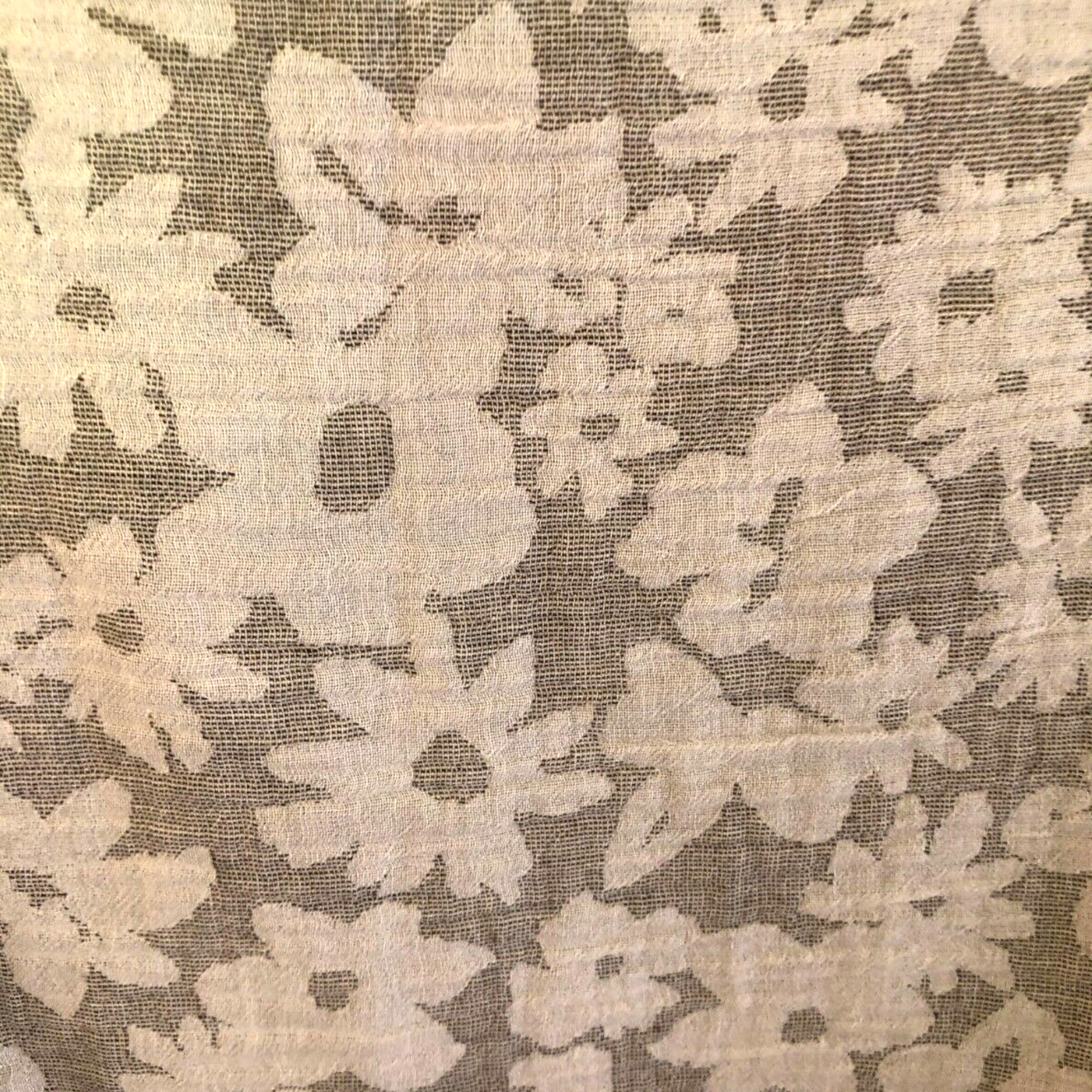 Close-up of floral lace fabric with beige flowers on a dark background