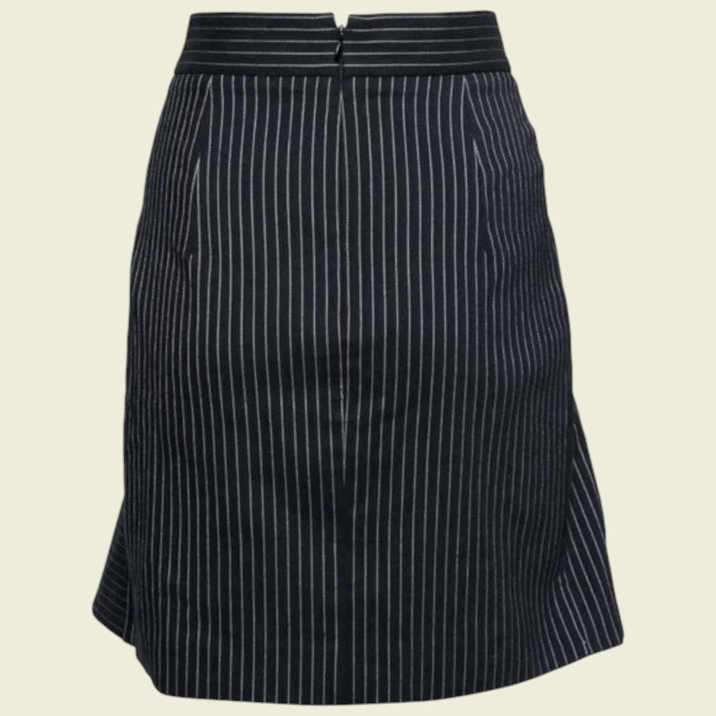 Black pinstripe skirt on a beige background