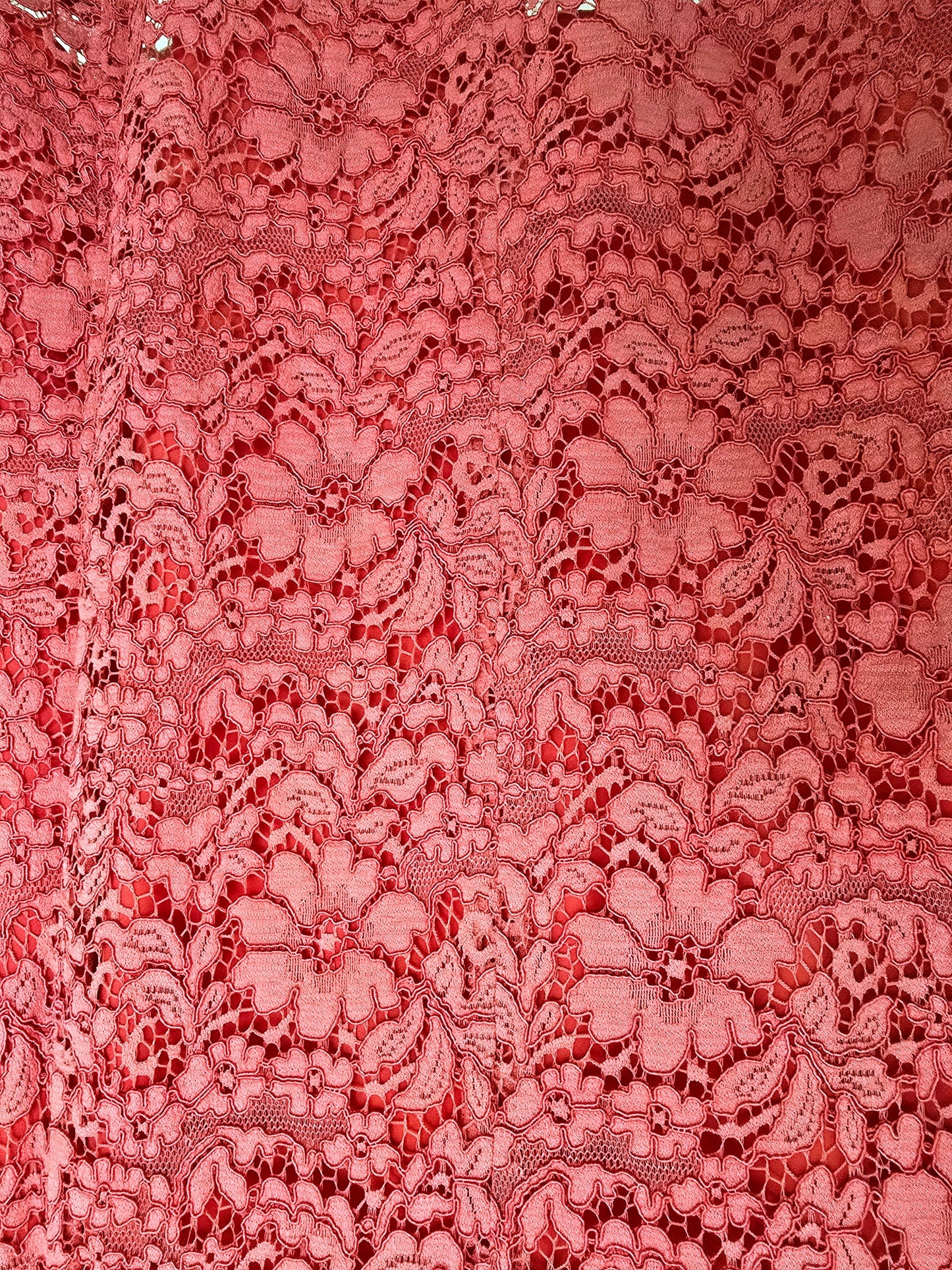Caroline Charles Coral Lace Dress UK 14 US 10 EU 42 - Timelessfashions