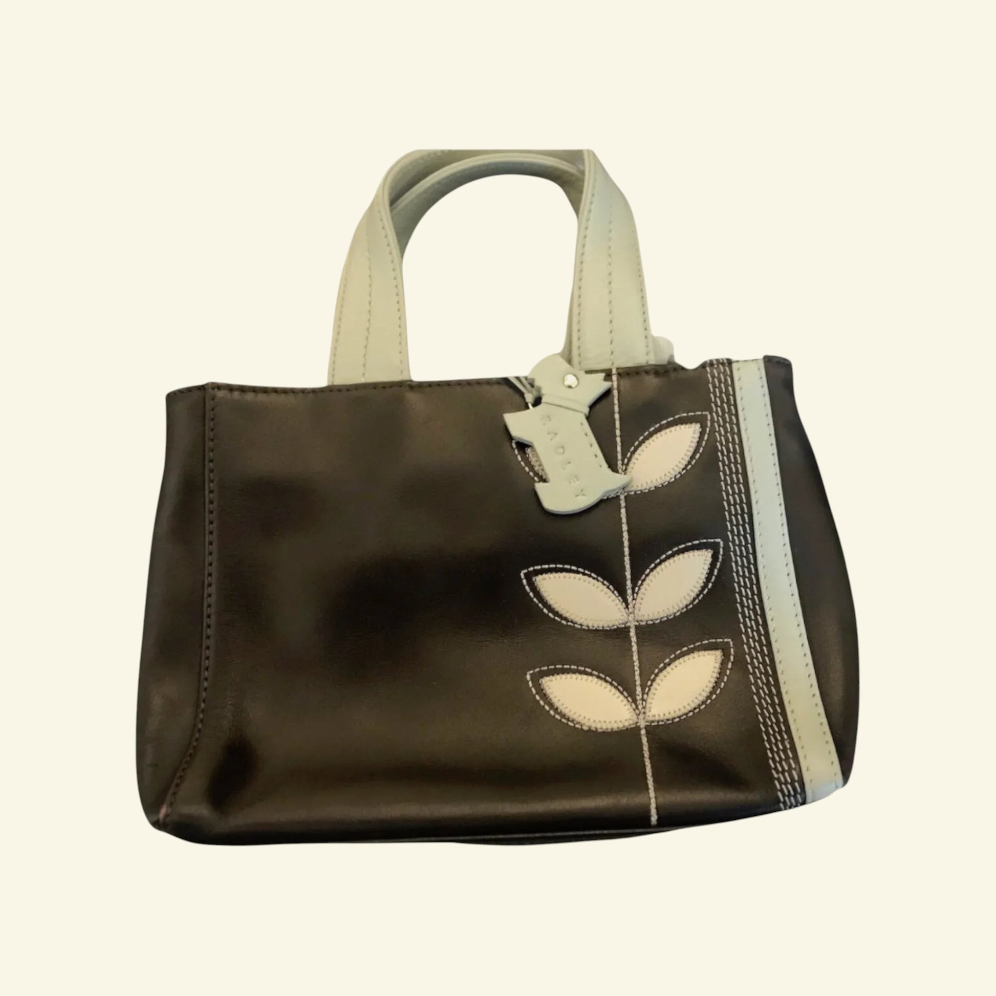 Radley Dark Brown & Duck Egg Blue Small Handbag - Timelessfashions